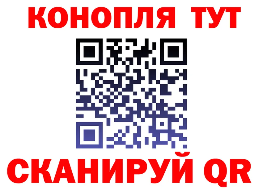 ТГК концентрат вход маркетплейс OMG Судогда