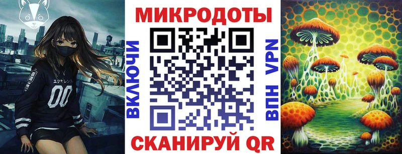 Псилоцибиновые грибы MAGIC MUSHROOMS  Судогда 