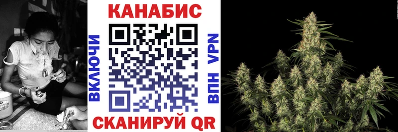 Марихуана White Widow  что такое   Судогда 